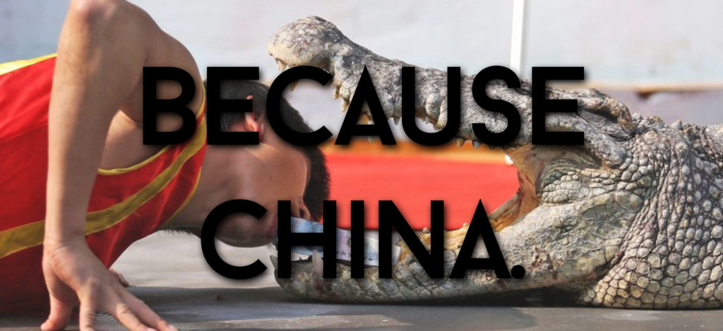 chengdu-expat-because-china
