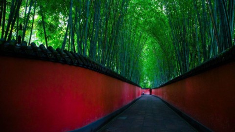 Visit 20 Scenic Spots for Free in Chengdu